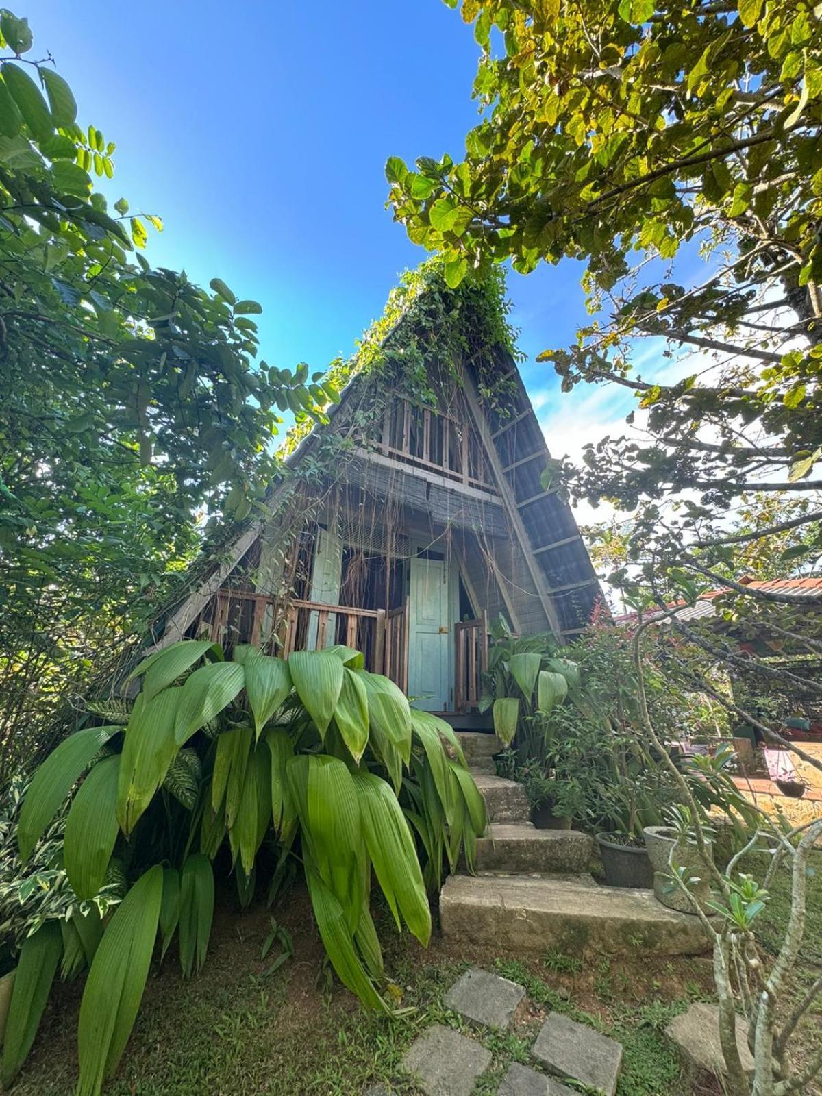 Villa Ovita Талпе Экстерьер фото